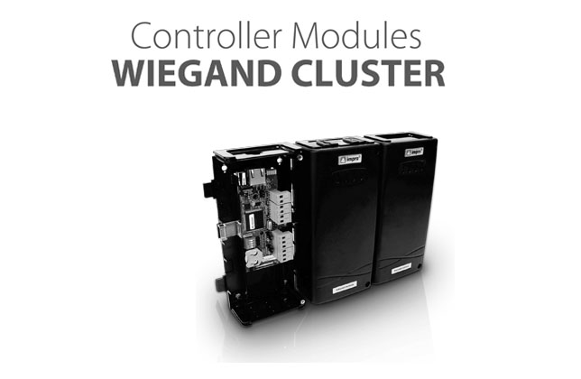 Wiegand Cluster